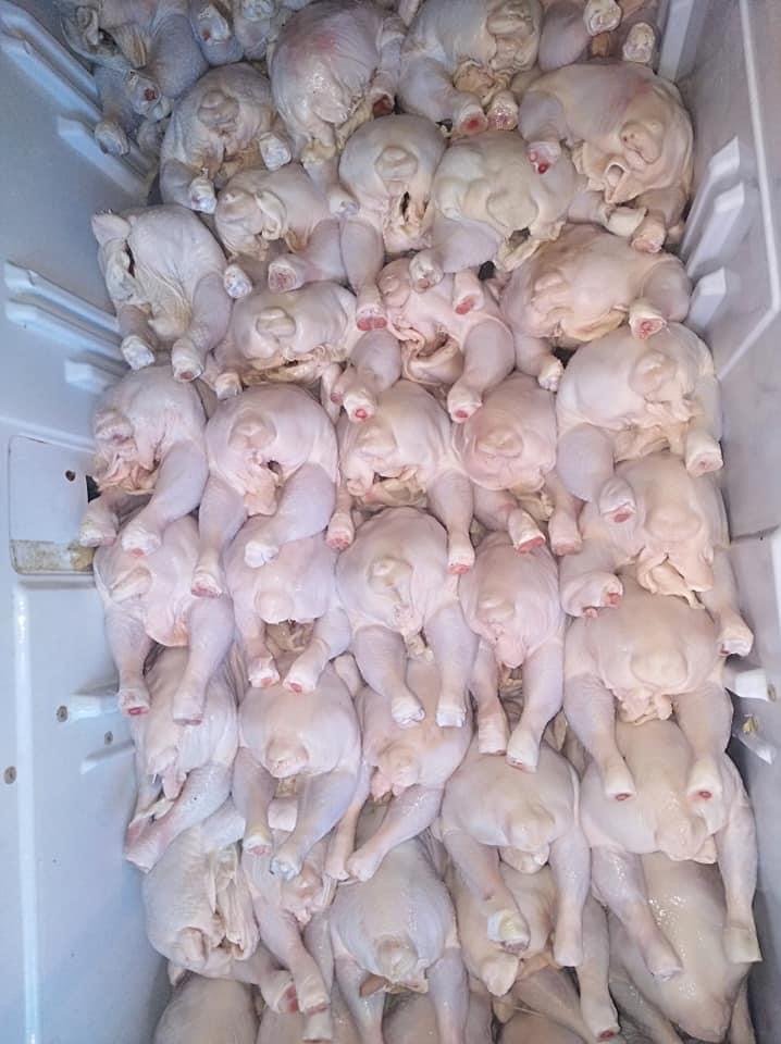 buy chicken online